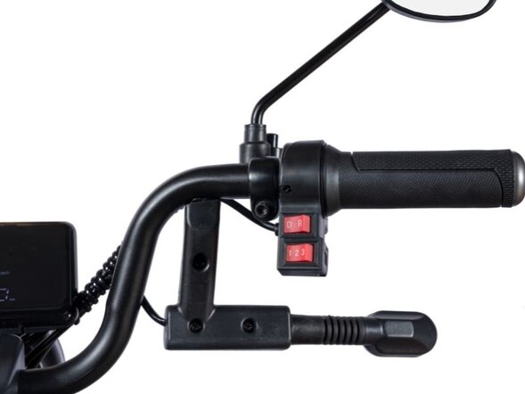 Электротрицикл White Siberia Sibtrike L 2000W